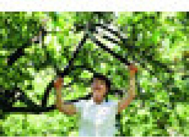 Gërshërë krasitëse me ingranazh anvil, Fiskars PowerGear II L77 1000583, prerje deri 50 mm, gjatësi 70 cm, e zezë/portokalli