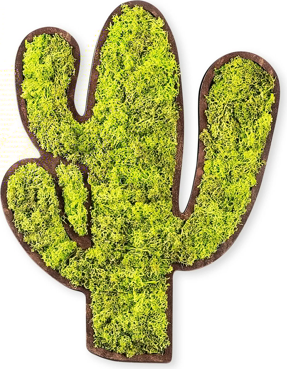 Aksesor dekorativ muri Wallity, kaktus, jeshile-bardhë