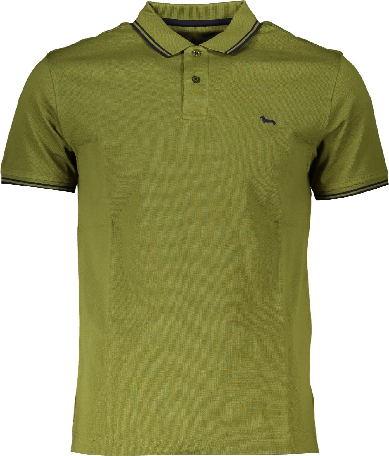 Polo për meshkuj HARMONT & BLAINE, e gjelbër