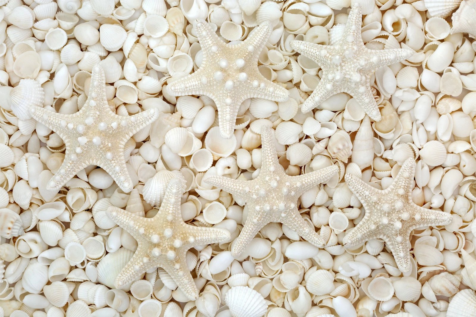 Set tapetash për banjo (2 copë), Mijolnir, CT-5172