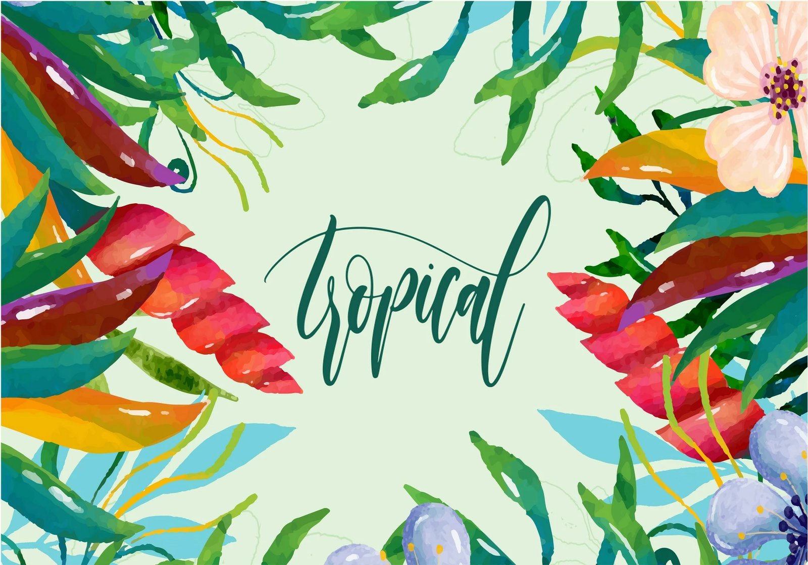 Set tapetash për banjo, 2 copë, Mijölnir, CT-5306