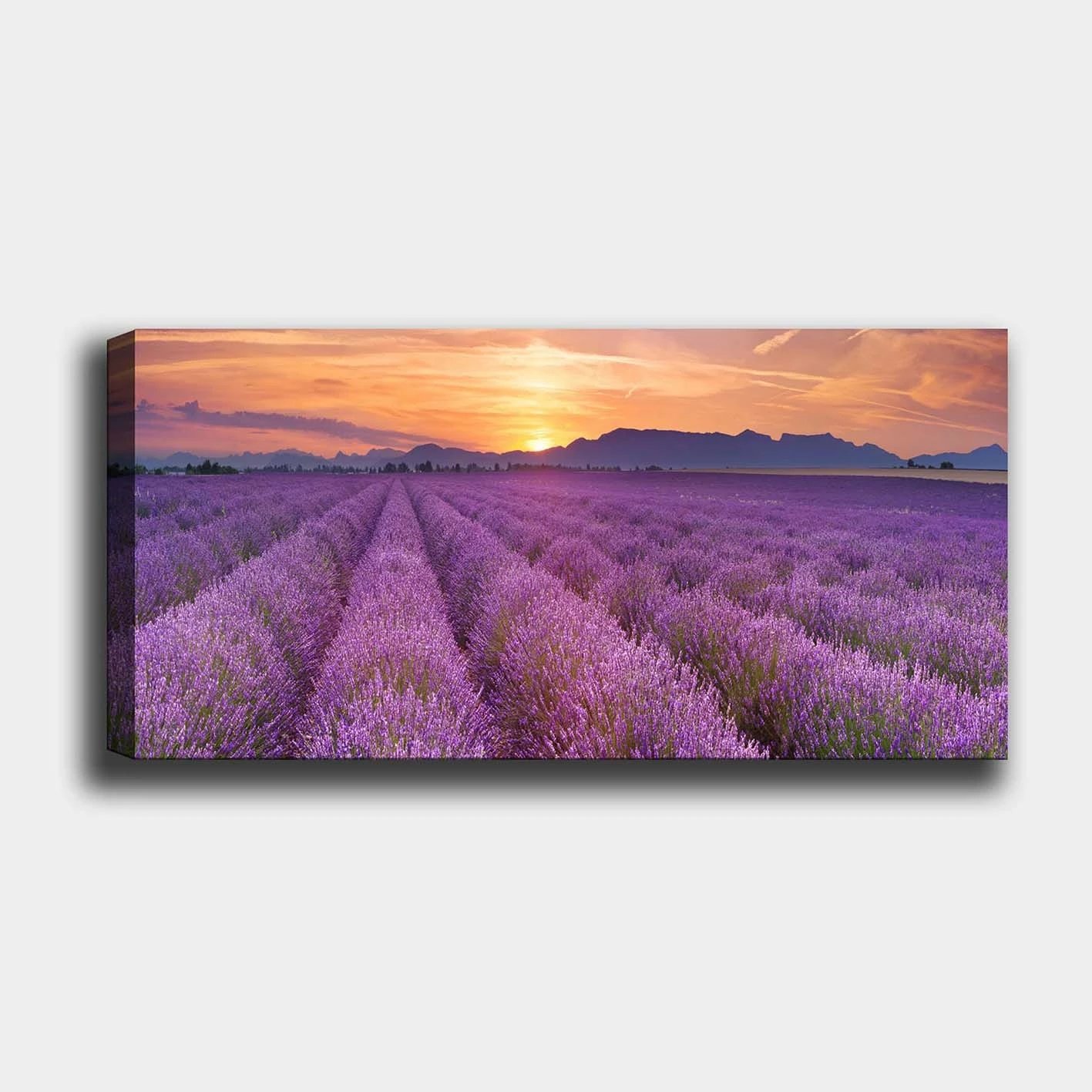 Pikturë dekorative në kanavacë, shumëngjyrëshe, YTY398412370_50120, 50x120cm