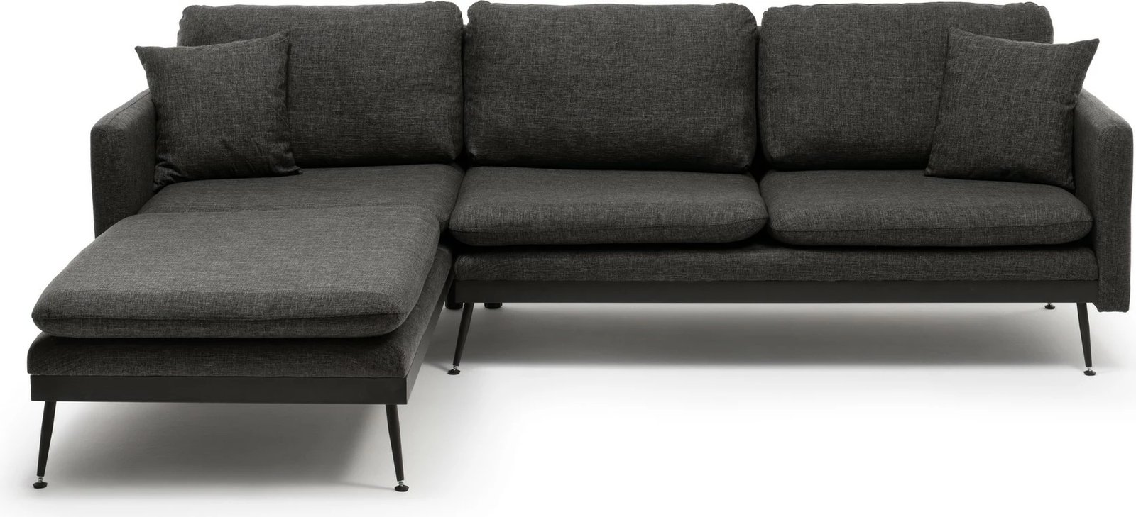 Këndare Reya, ngjyrë gri e errët