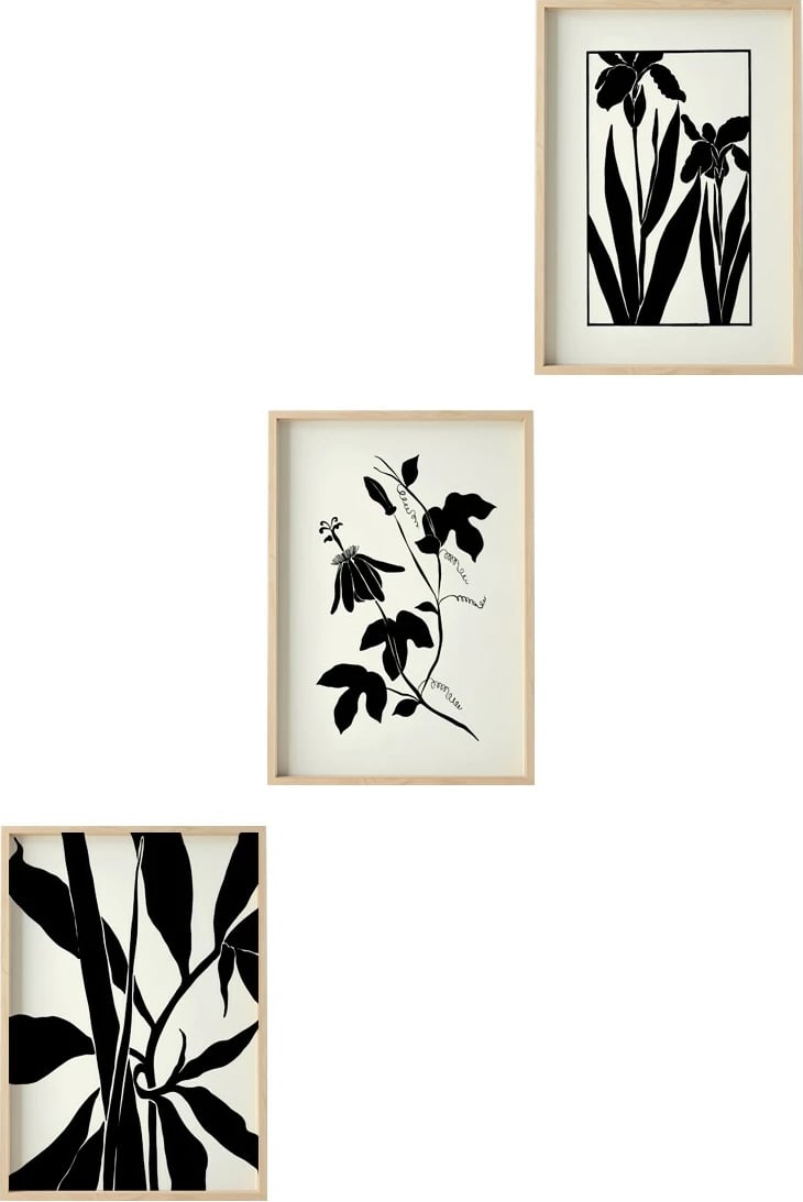 Pikturë dekorative me kornizë MDF (3 copë), Wallity, Huhu482, 50x70cm