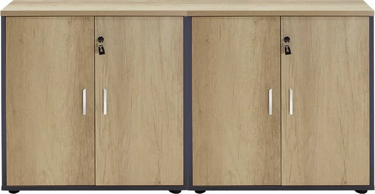 Dollap Lotus me 4 dyer, ngjyrë lisi-gri e errët, 160x40,5x80cm