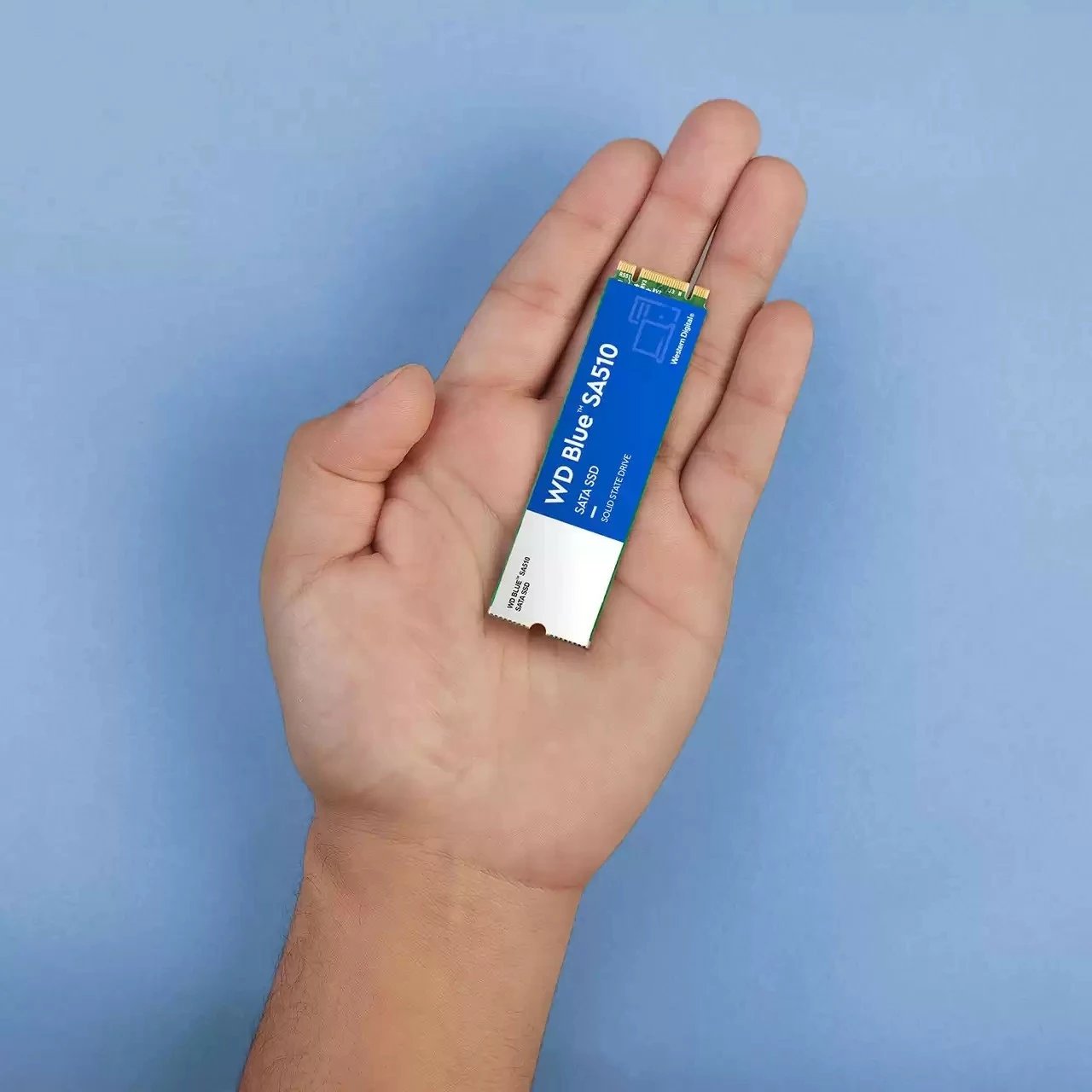 SSD Western Digital Blue SA510, 500 GB, M.2