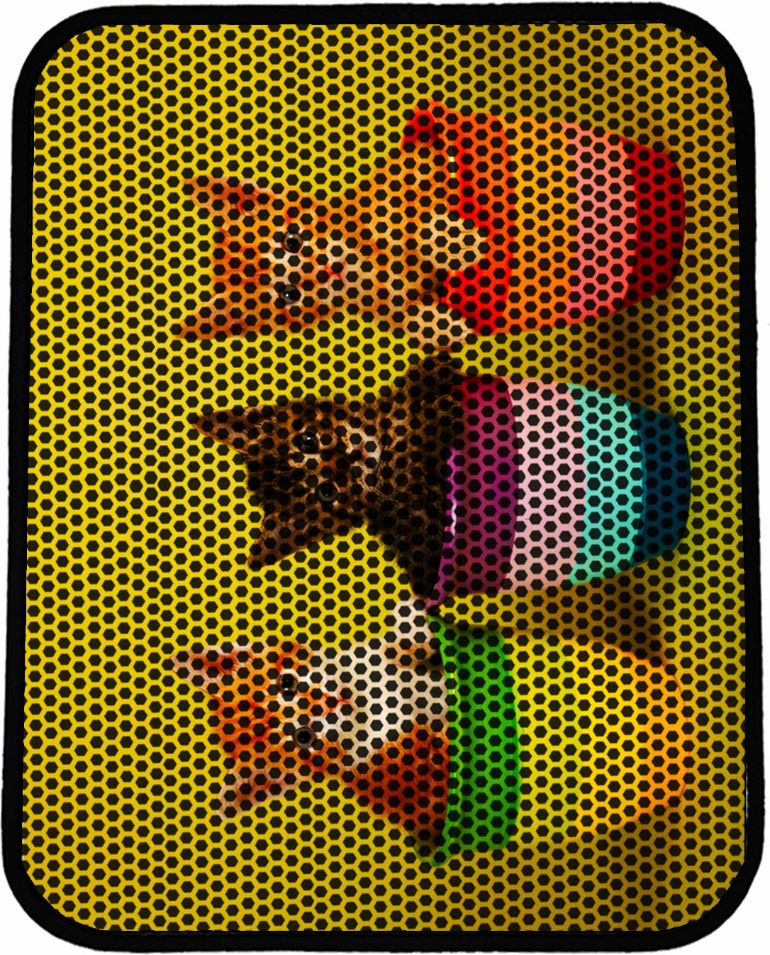 Tapet për rërë mace, shumëngjyrësh, Paws & Whiskers, Nrszn0137, 45x60cm
