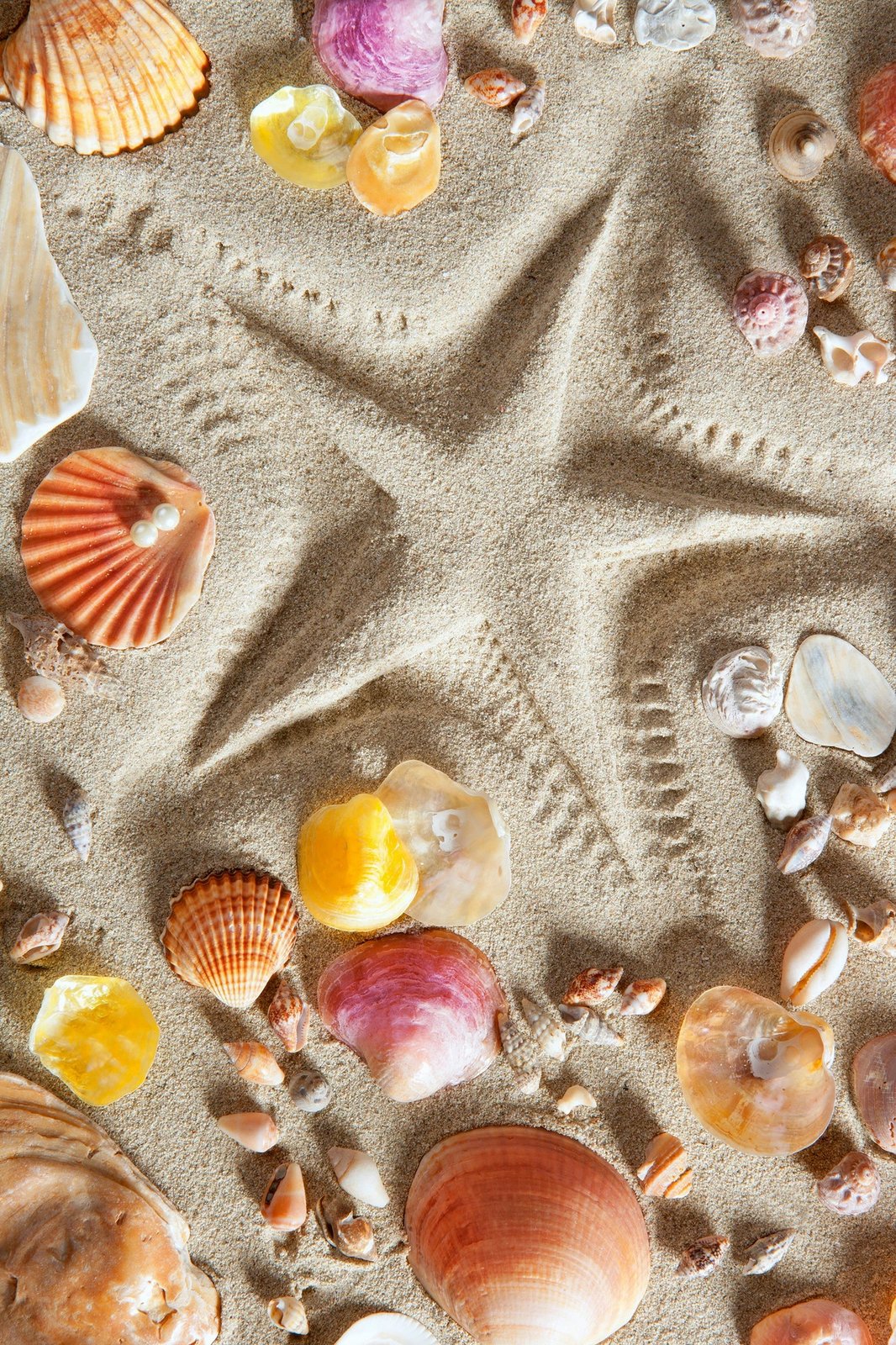 Qilim shumëngjyrësh, 60x100cm, Conceptum Hypnose, WOOKECE129