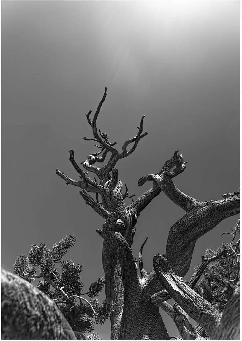 Pikturë dekorative me kornizë MDF, Wallity, Mp-00127, 30x40cm