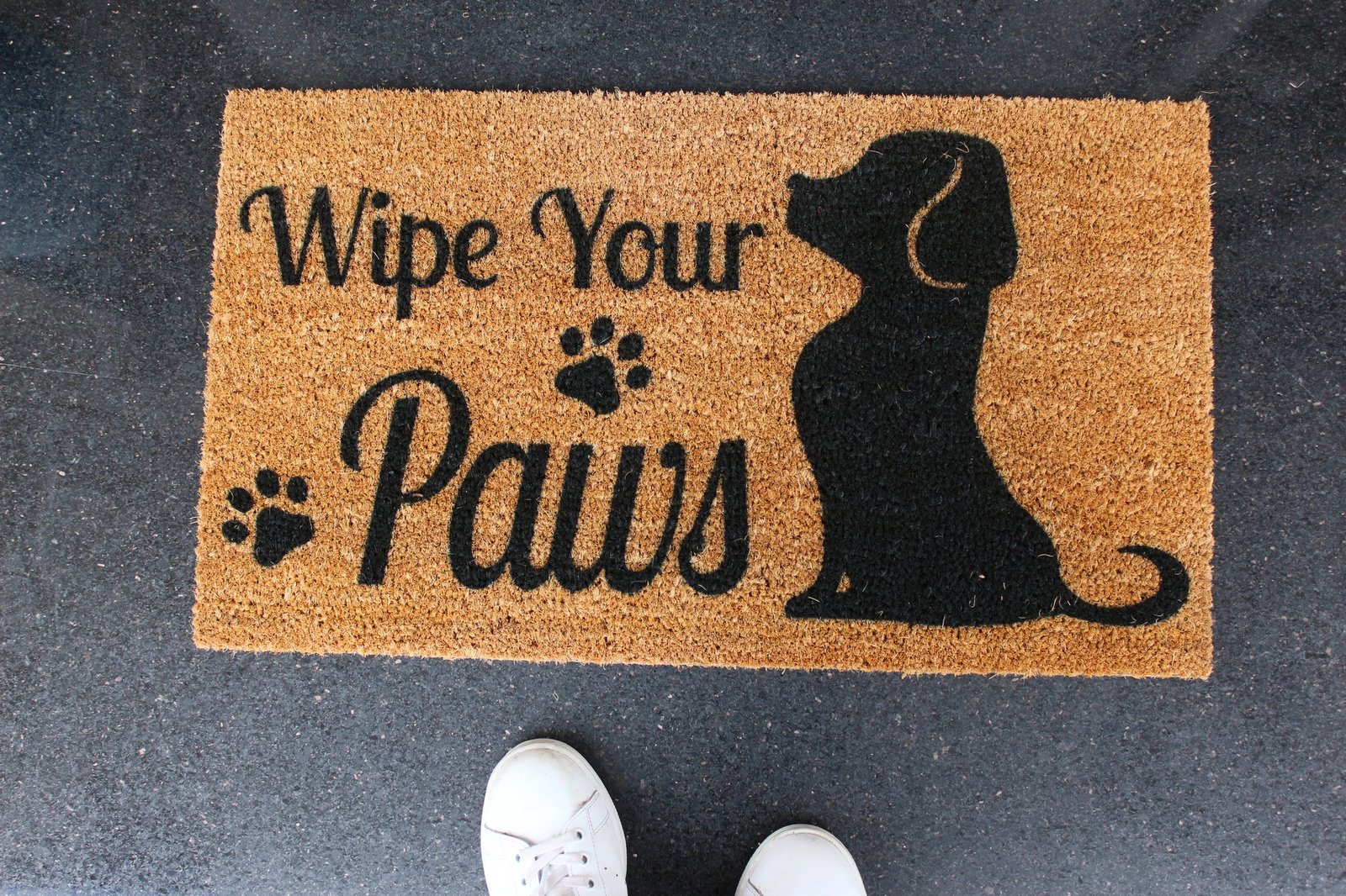 Shilte hyrëse Coco, dizajn Aberto, Wipe Your Paws, kafe dhe e zezë, 70x40cm