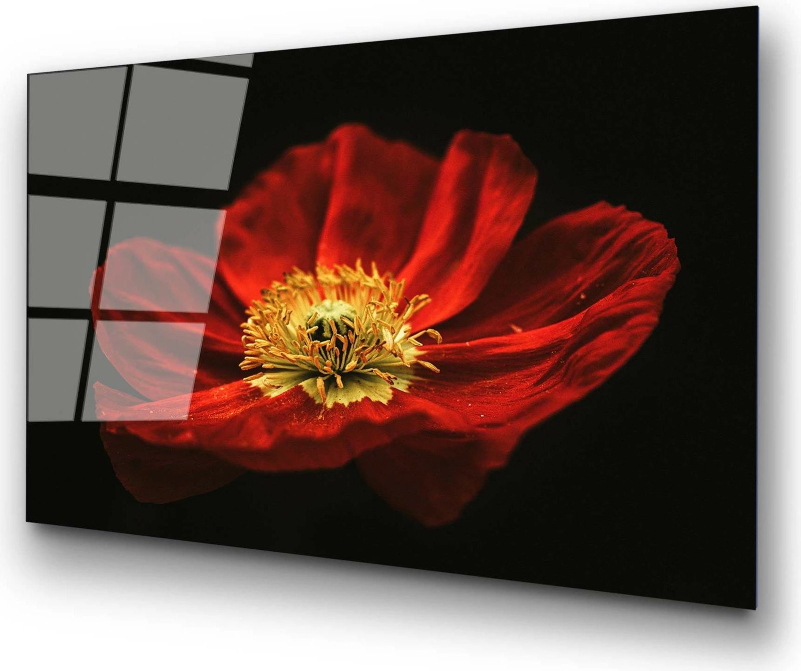 Pikturë dekorative prej xhami të temperuar, lulekuqe, UV-204, 70x100cm