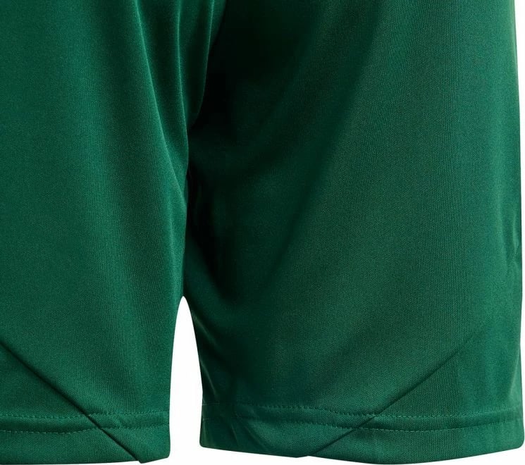 Shorce për fëmijë adidas Tiro 24, të gjelbërta dhe të bardha