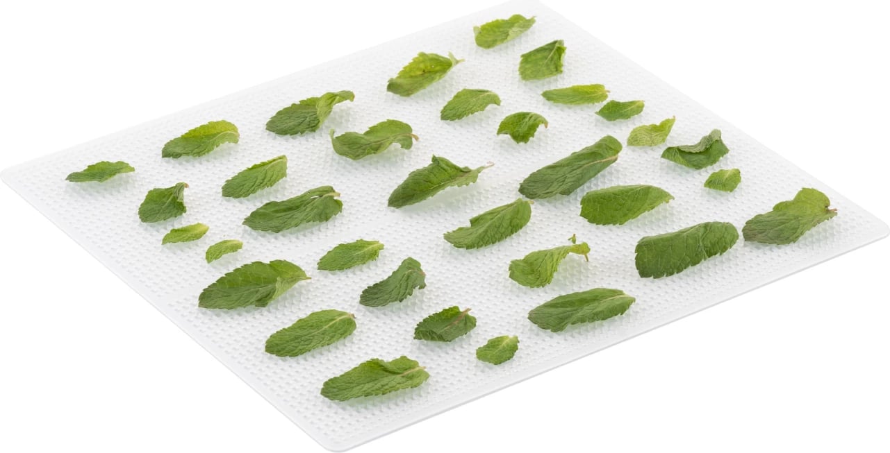 Tharëse Frutash ETA VITAL AIR II 230290000