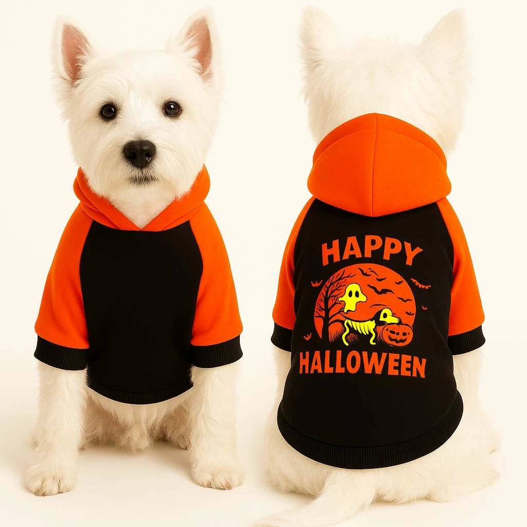Bluze për qen, Paws & Whiskers, ngjyrë e zezë, Happy Halloween