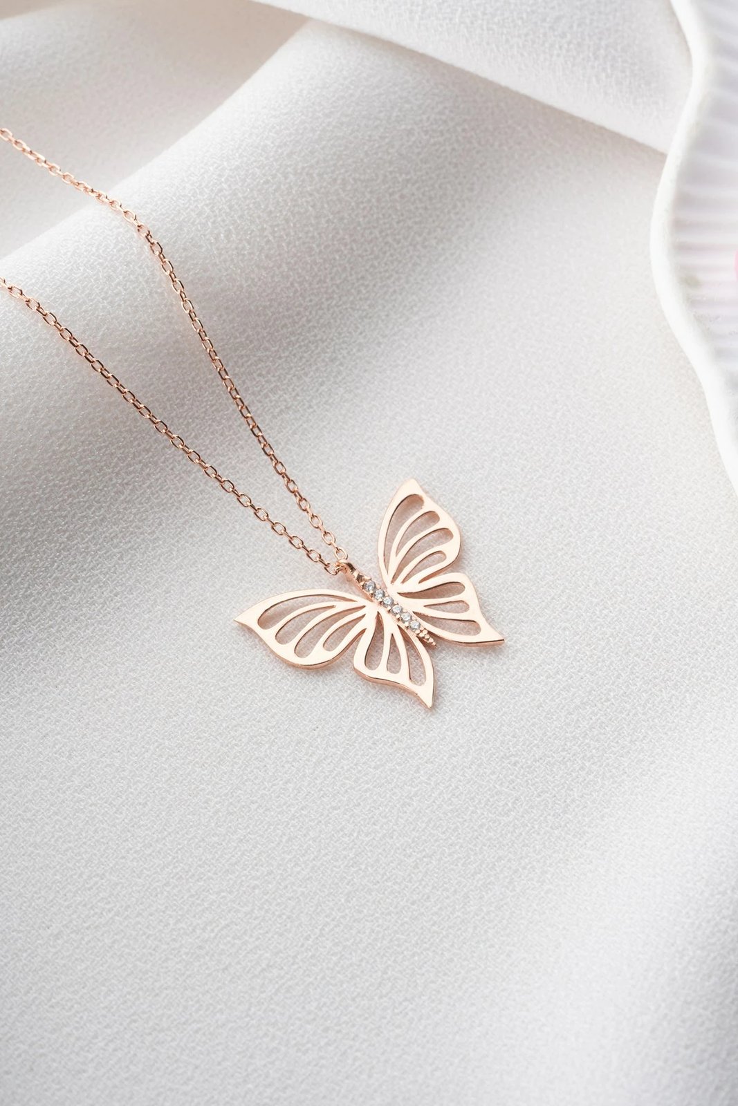 Varëse argjendi, flutur, Jumeon, NRZ998179