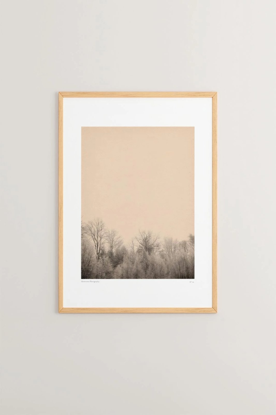 Pikturë dekorative me kornizë Wallity, Lmnmdl24