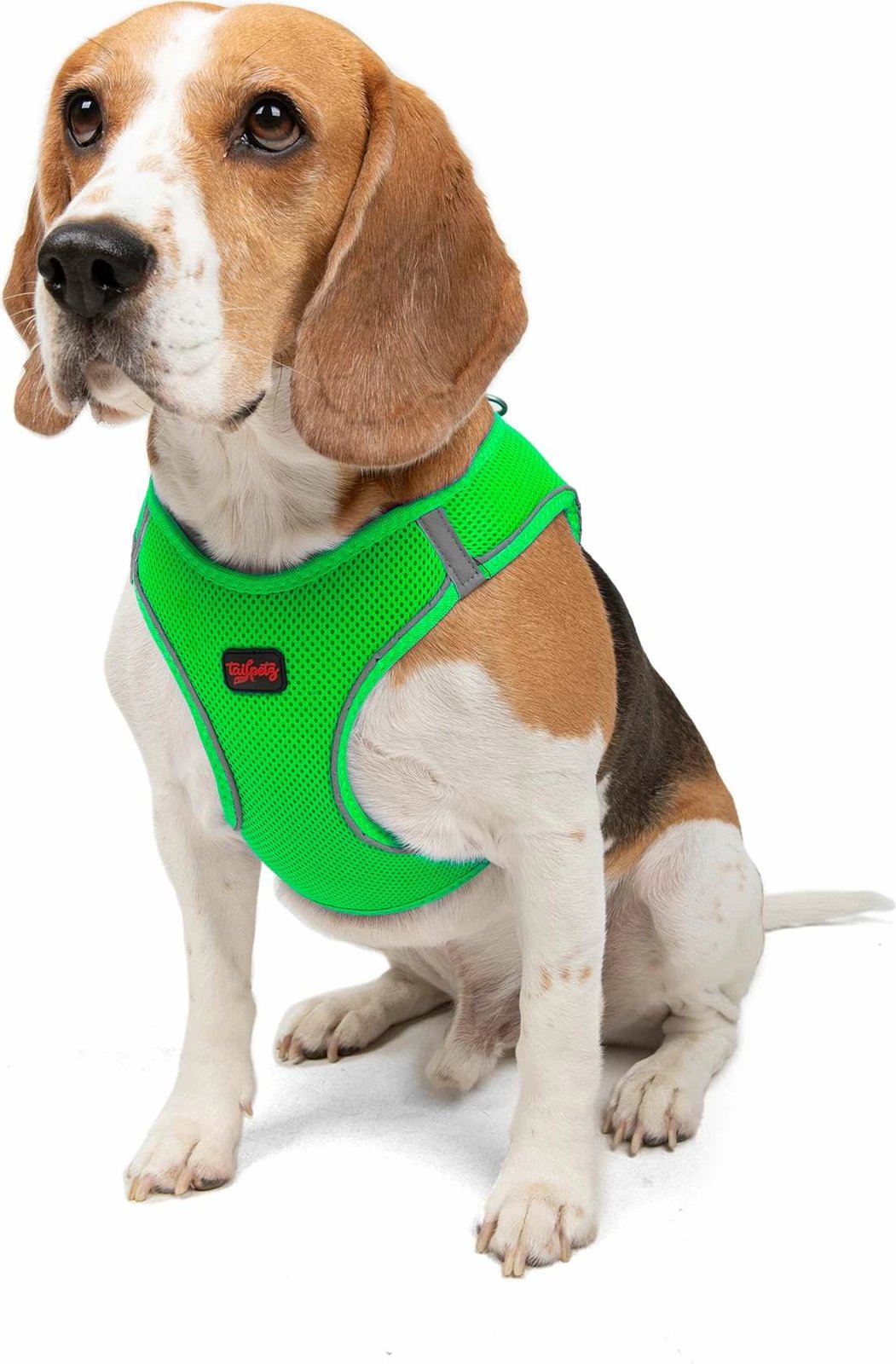 Parzmore për qen, Air-Mesh, ngjyrë Neo Green