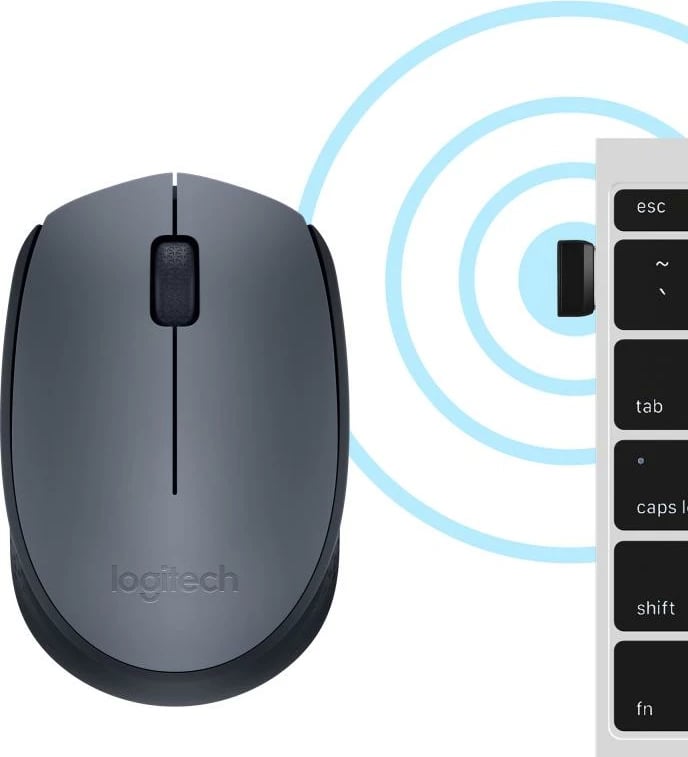 Maus Logitech M170 wireless 2.4 GHz USB nano receptor gri (910-004642)