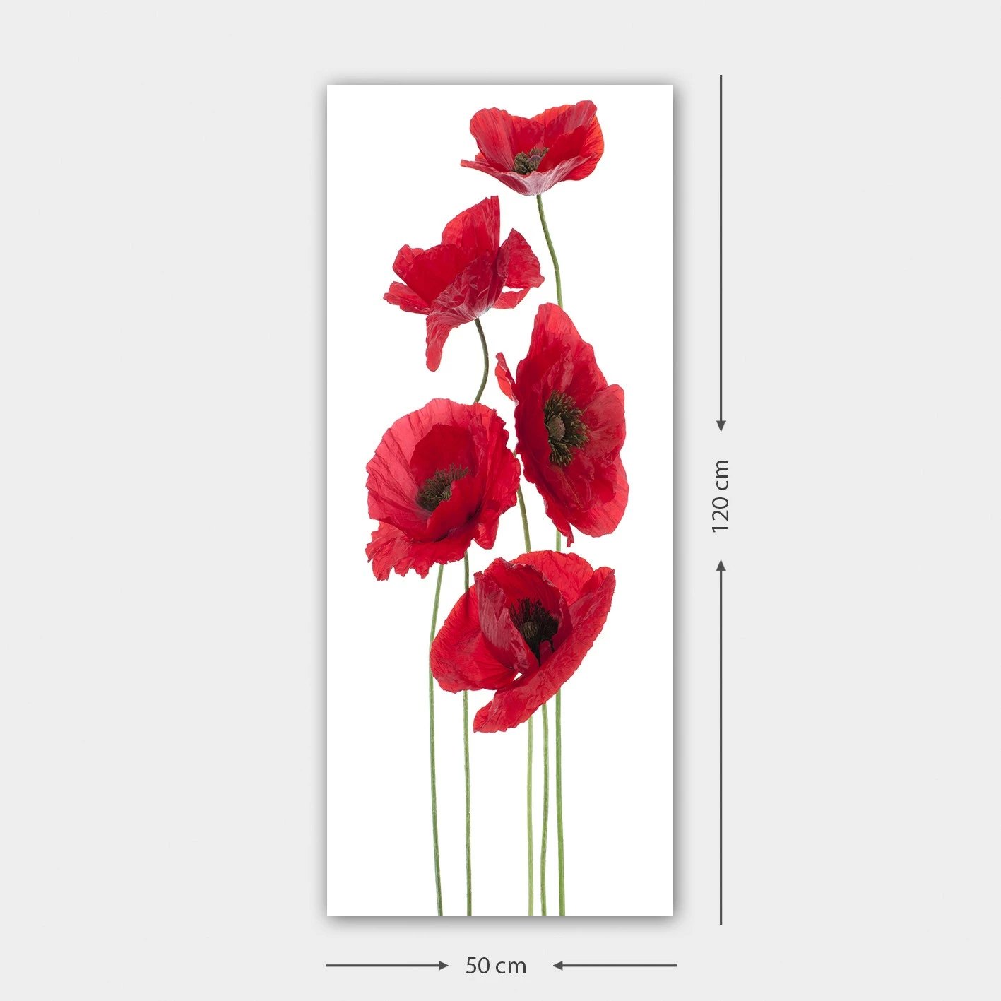 Pikturë dekorative në kanavacë, shumëngjyrëshe, DKY128322_50120, 50x120cm