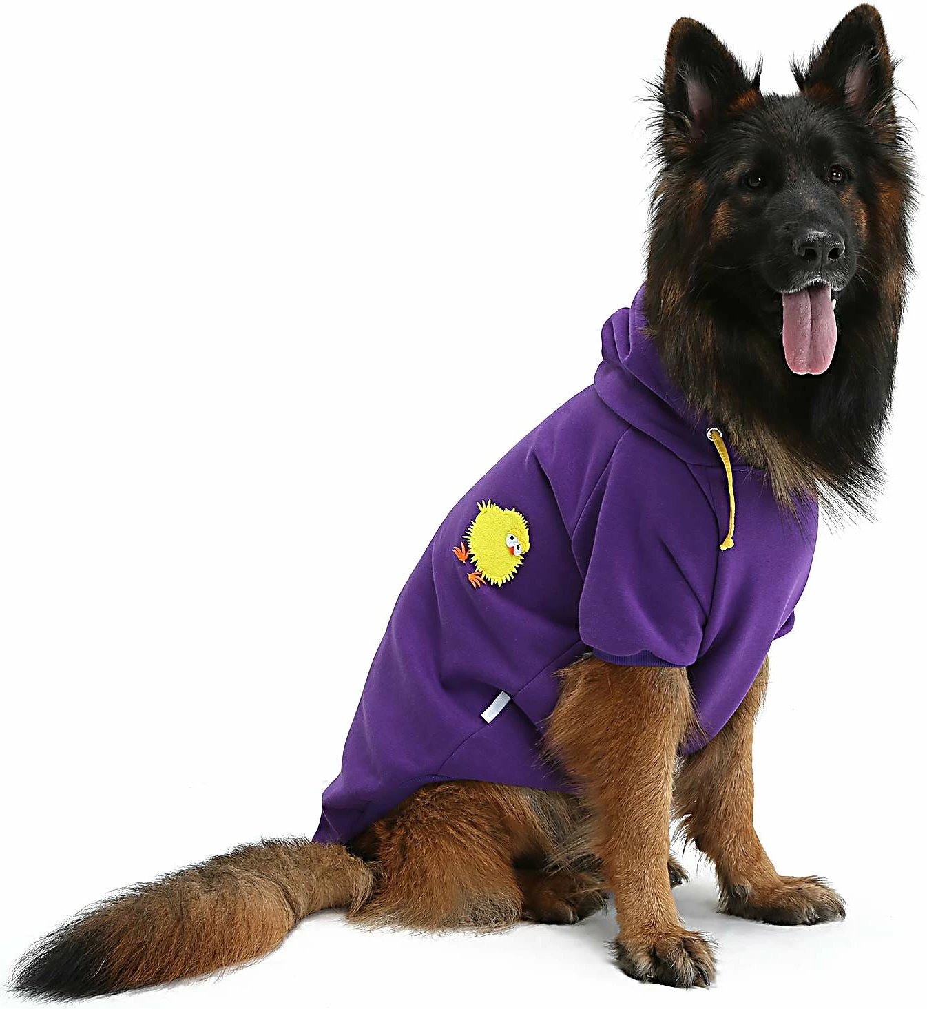 Bluzë me kapuç për qen, ngjyrë vjollcë, Paws & Whiskers, Purplechicksweat