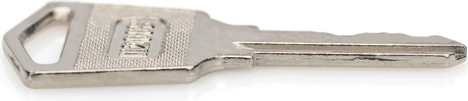 Çelësa Digitus për dollap karikimi, 2 copë, argjend Çelësa Digitus për dollap karikimi, 2 copë, argjend