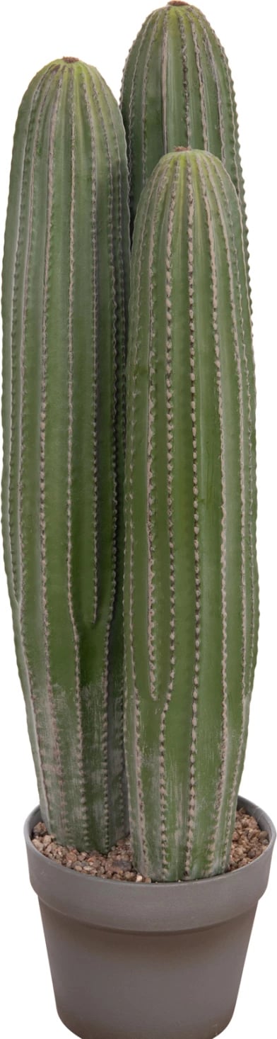 Bimë dekorative sintetike në vazo, lloj kaktusi, FH4743, 16x62cm