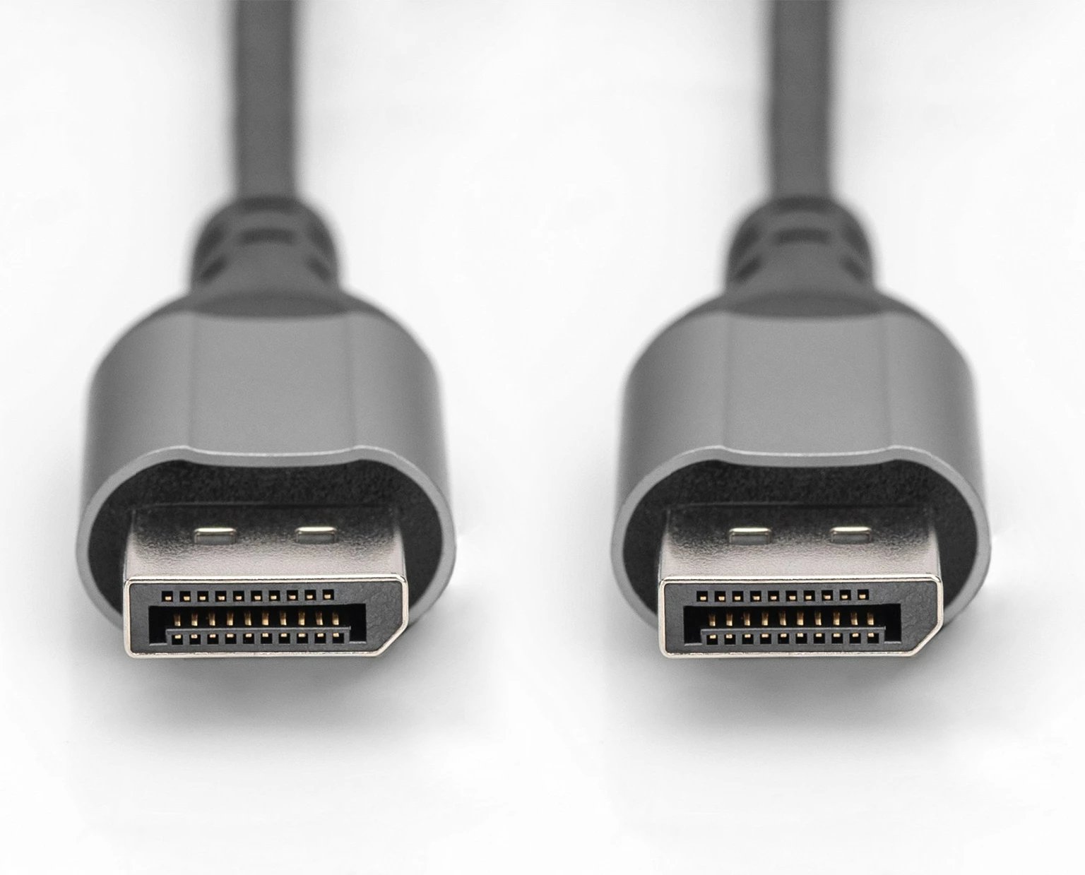 Kabllo DisplayPort Digitus 8K Version 1.4, 1m, i zi