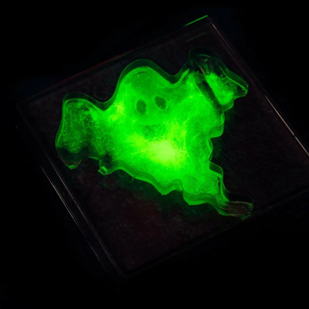 Set shkencor për slime që ndriçon, Lisciani Crazy Science, 304-PL89239, me aksesorë të ndryshëm