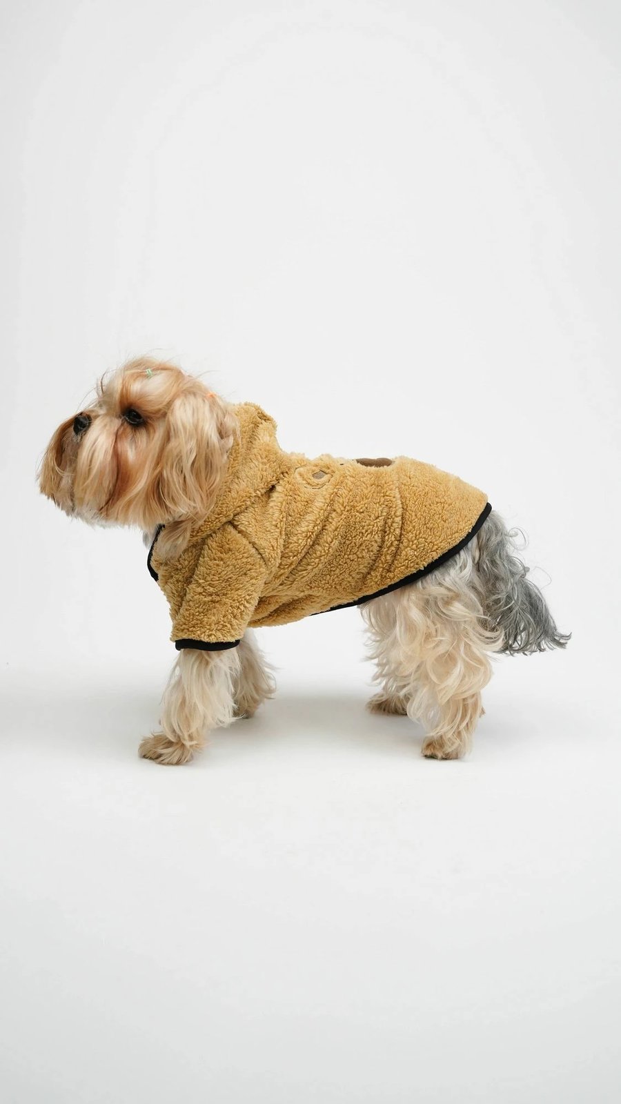 Hudi për qen, Paws & Whiskers, xhaketë teddy welsoft, e gjelbër