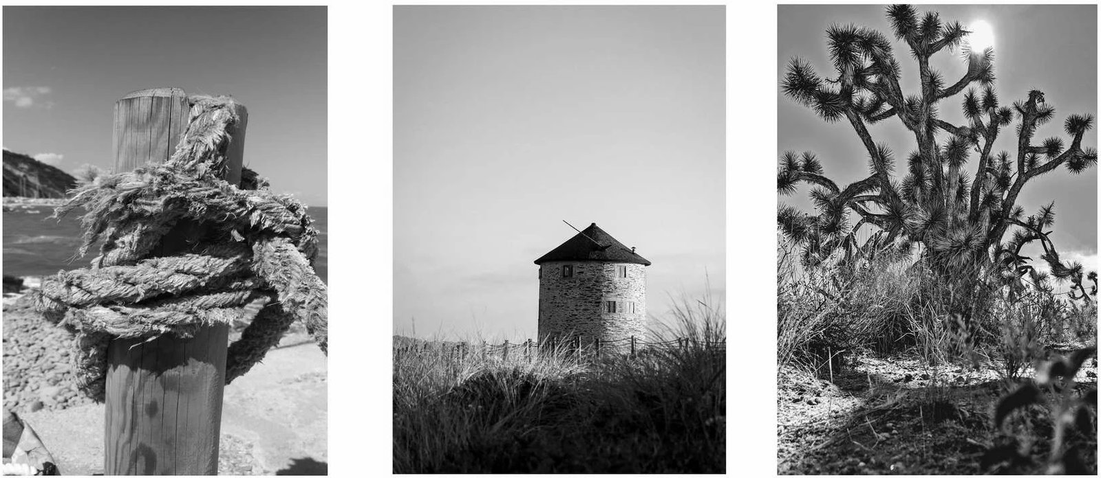 Pikturë dekorative me kornizë MDF (3 copë), Wallity, Mp3-00116, 40x50cm