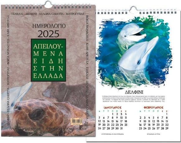 Kalendar muri NEXT 2025 "Endangered Species" spiral 25x35cm