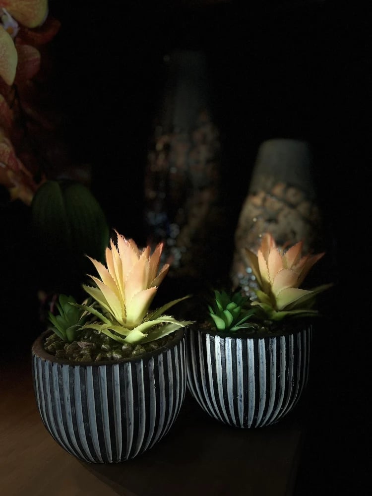 Bimë artificiale LAKHSMI 4, vazo polirezine, 13x13x18.5cm, e zezë, e bardhë, e gjelbër