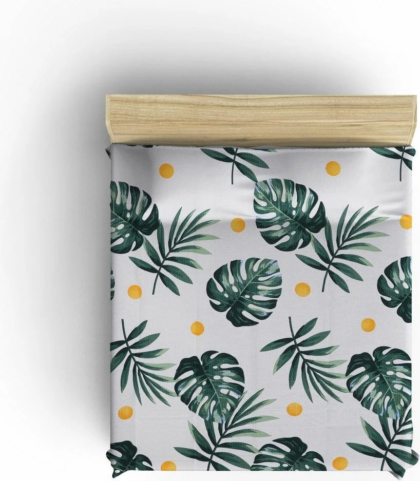 Pike teke Monstera, ngjyrë e bardhë, e gjelbër, e verdhë