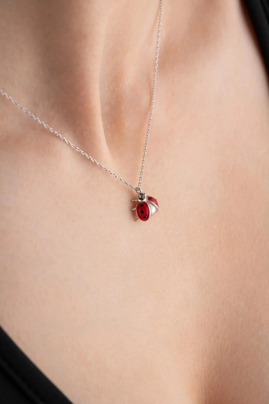 Varëse argjendi me buburrec, Jumeon, NRZ999225