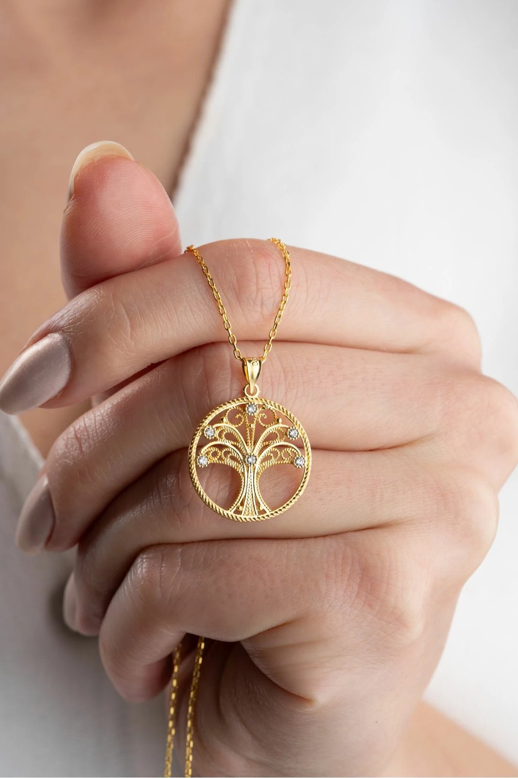 Varëse argjendi e artë Jumeon, HYT5766