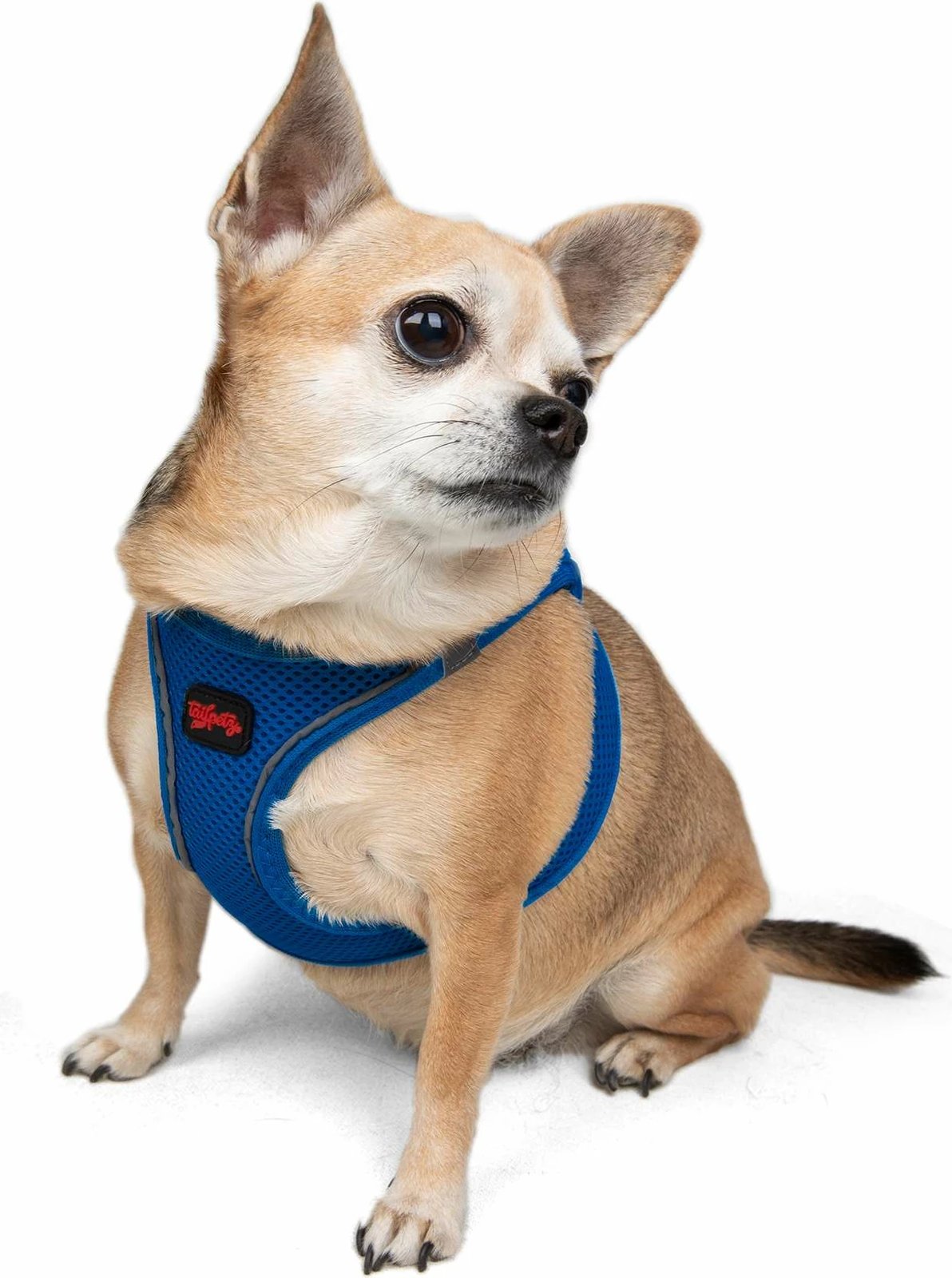 Parzmore për qen, Air-Mesh, ngjyrë sax blue