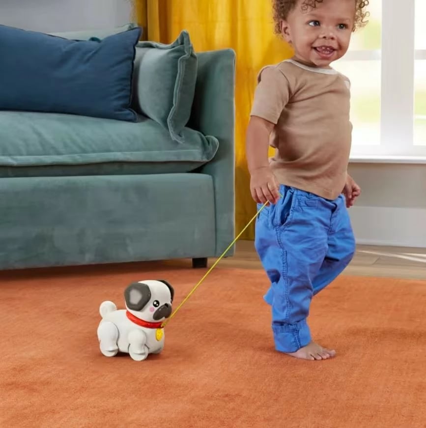 Figurinë tërheqëse Fisher Price Pets Spacerowy Mopsik HTW94, plastikë, kafe/krem
