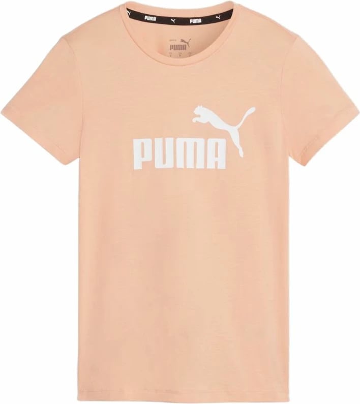 Maicë Puma femra, portokalli