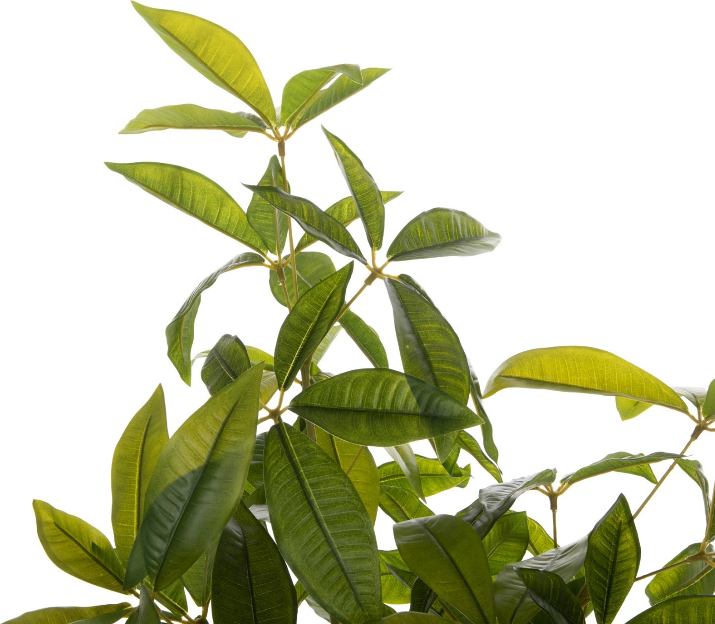 Bimë sintetike dekorative në vazo, FH4018, Pachira Macrocarpa, 125H cm