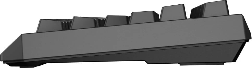 Tastierë mekanike GENESIS Thor 230 TKL, RGB, Wireless & USB Type-C, Gri Tastierë mekanike GENESIS Thor 230 TKL, RGB, Wireless & USB Type-C, Gri