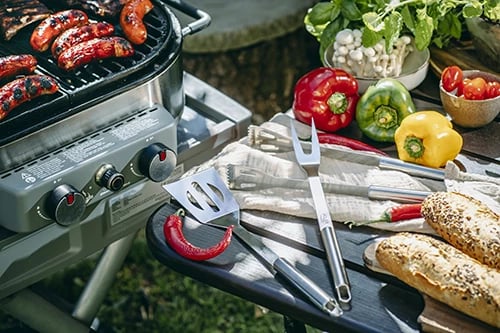 Set vegla grilli, Adler AD 6730, çelik inox 420 me doreza 410, 3 pjesë me etui, argjendtë
