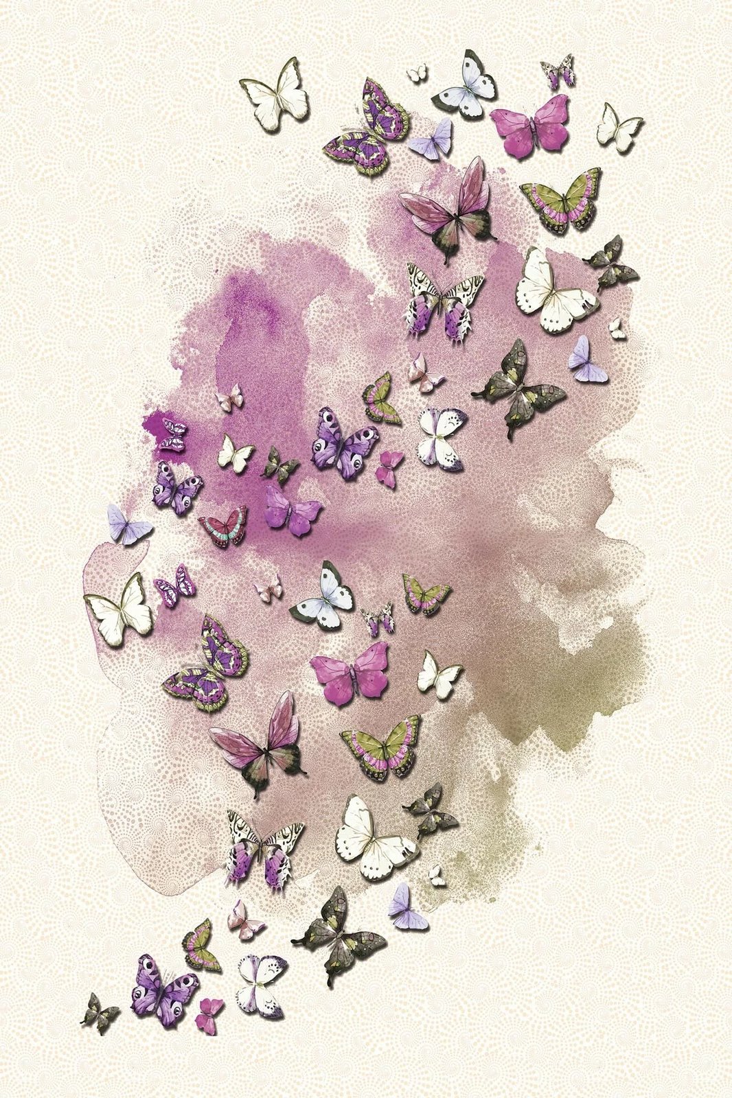 Qilim (180 x 280), Conceptum Hypnose, HMNT531