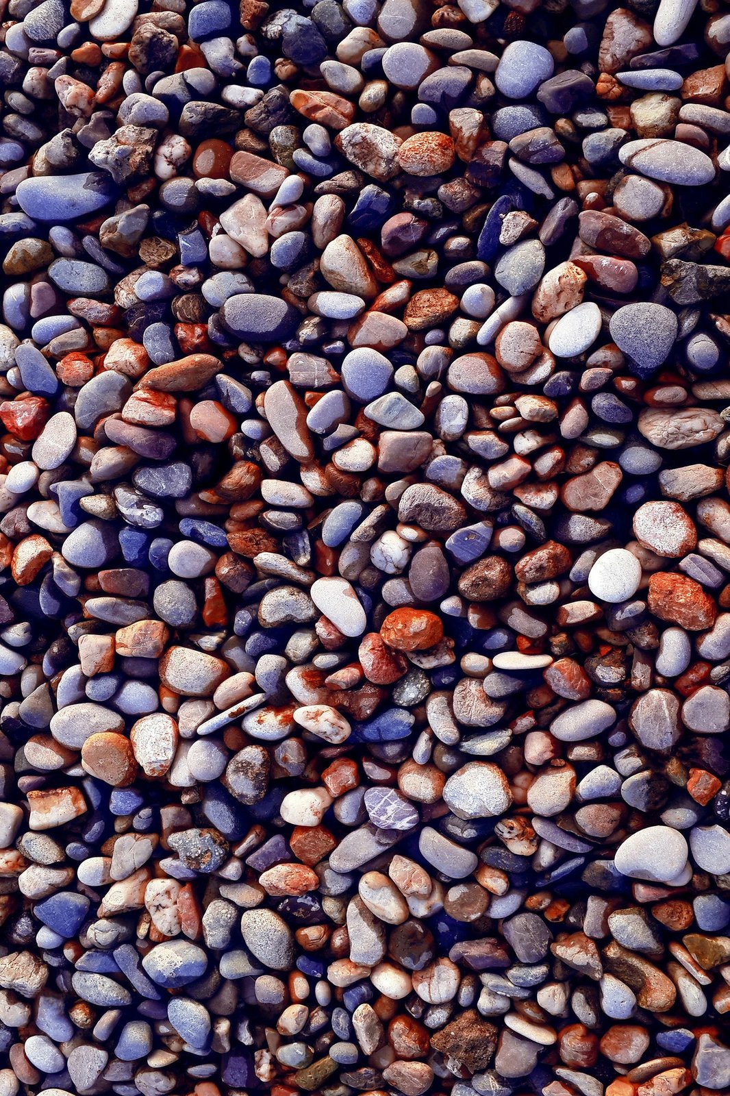 Qilim Conceptum Hypnose, shumëngjyrësh, 60x100cm, Wookece188