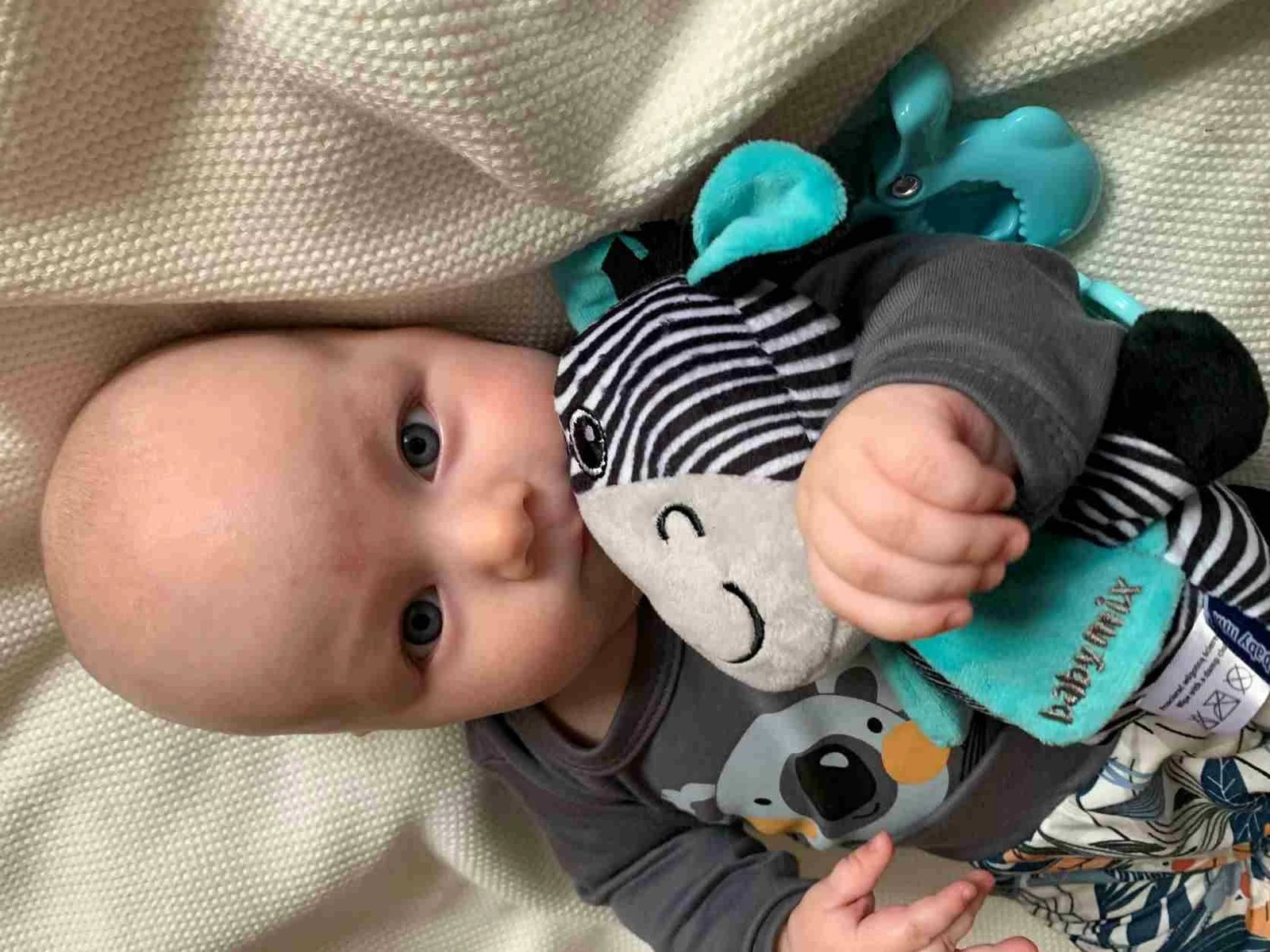 Lodër pelushi edukative me tingull dhe kapëse, Baby Mix zebra, 17 cm, multingjyrëshe