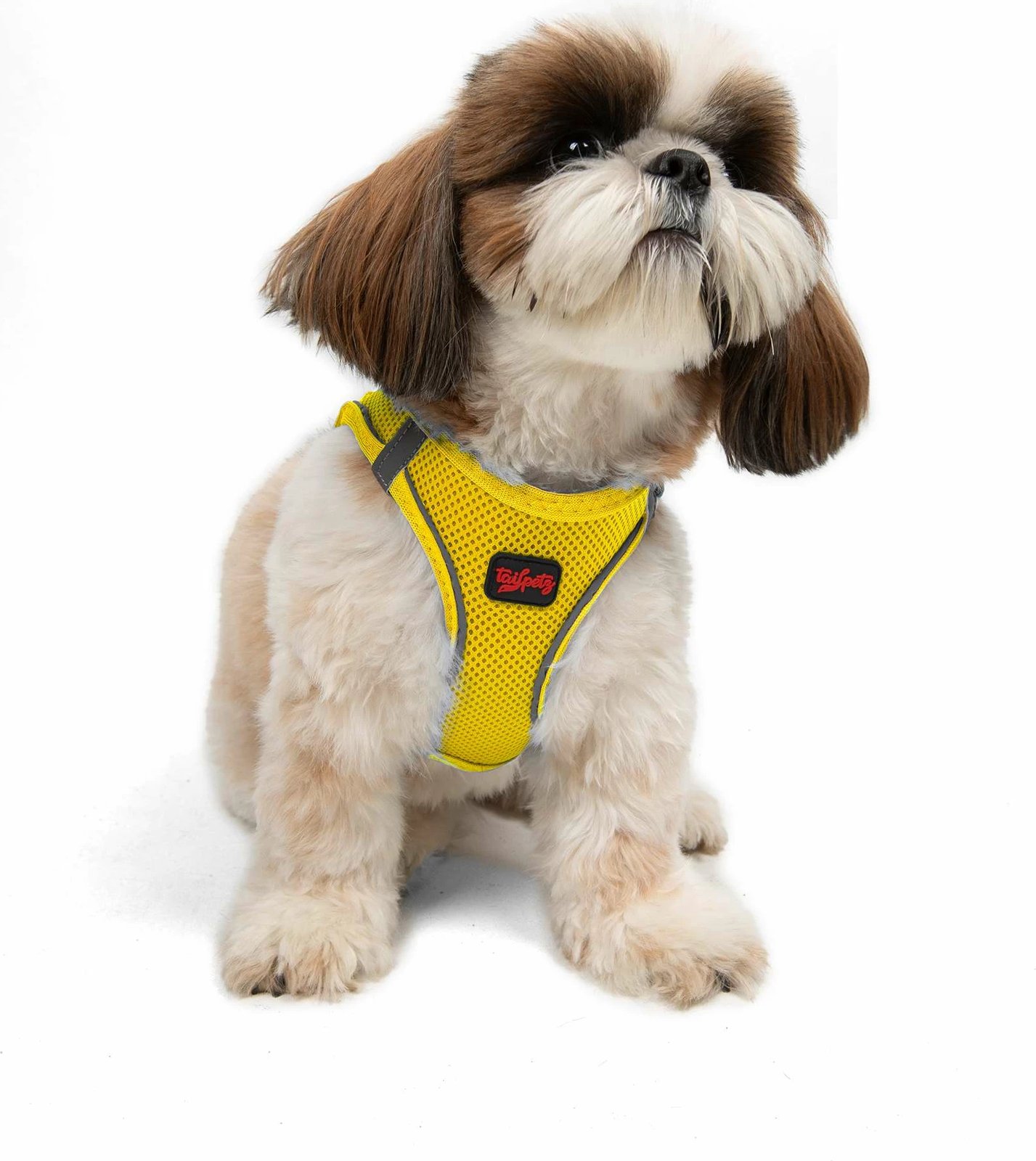 Parzmore për qen, Air-Mesh, e verdhë