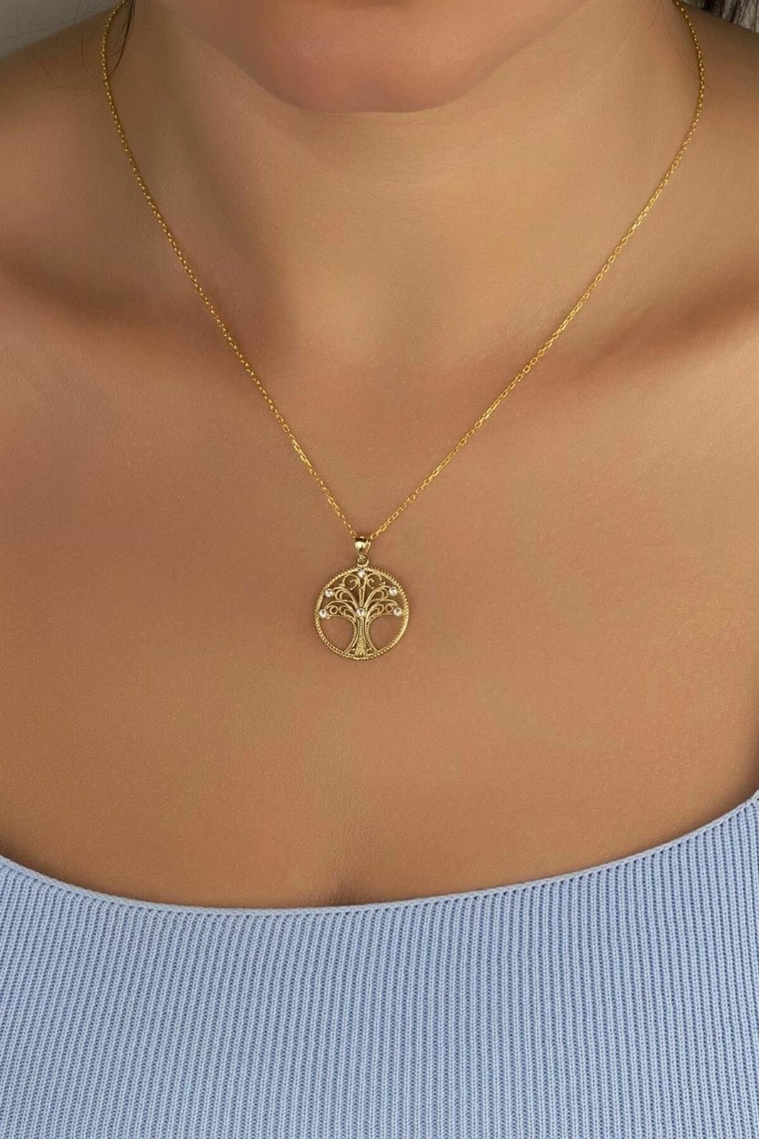 Varëse argjendi e artë Jumeon, HYT5766