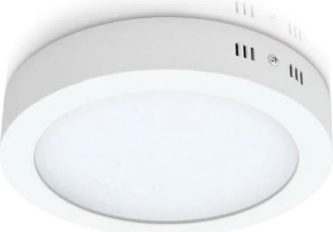 Dritë LED e jashtme MEGAMAN 24W, Rrethore, Ø30 x H3.8cm, Bardhë
