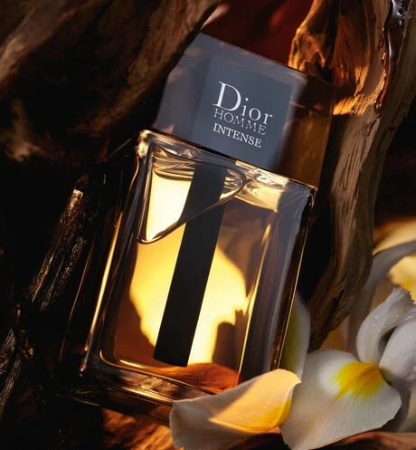 Parfum per meshkuj, Eau De Parfum, Dior, Homme Intense, 100 ml