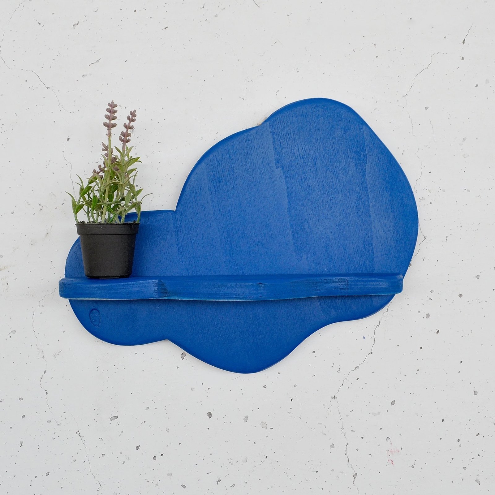 Raft dekorativ muri, dru i kaltër, Skye Decor, Meh223