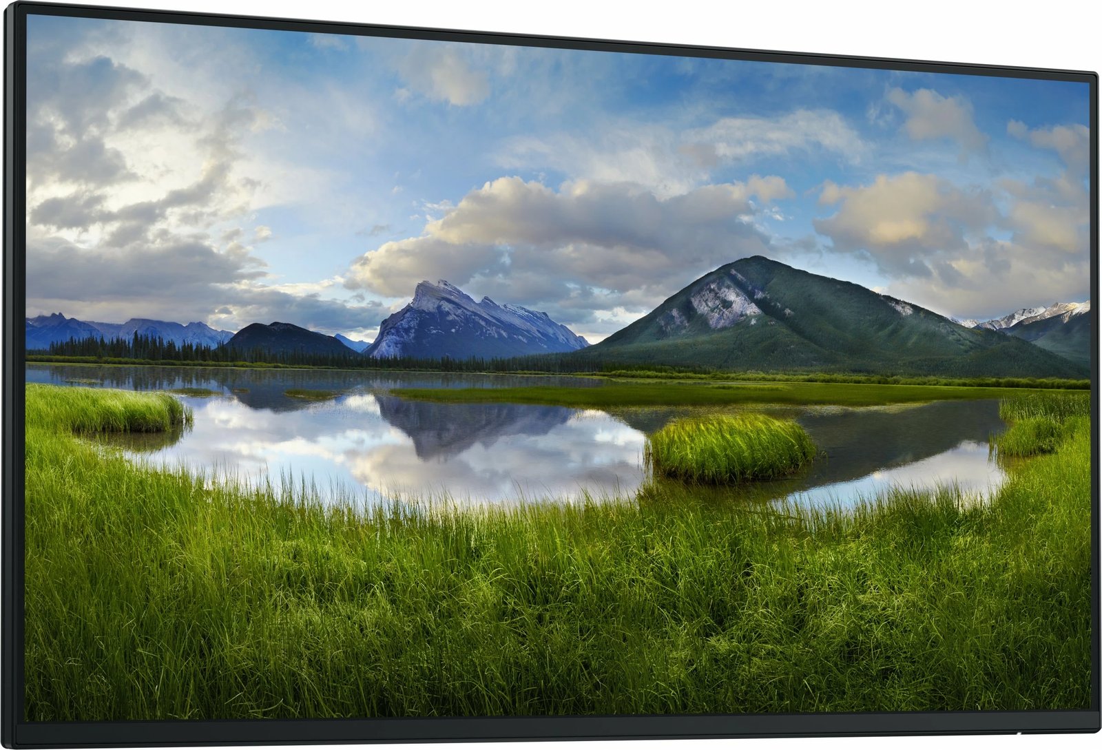 Monitor DELL P2425HE_WOST 24 inch Full HD LCD, i zi